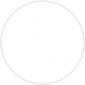 Networking and Peer Learning